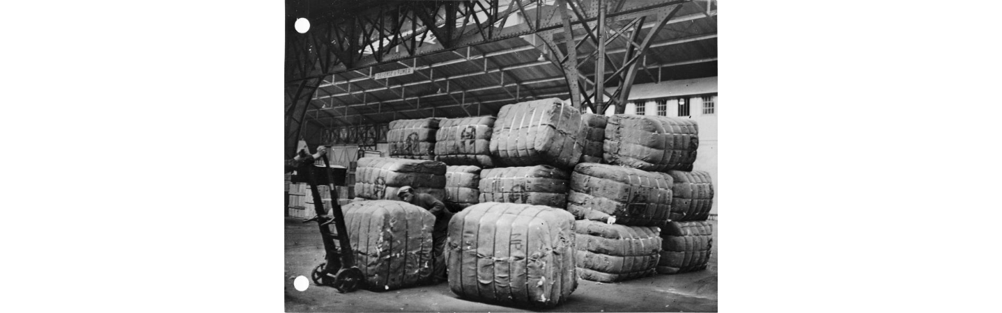 Cotton Shipments - Arrival of Cotton Shipments in Le Havre - NAI 19973877