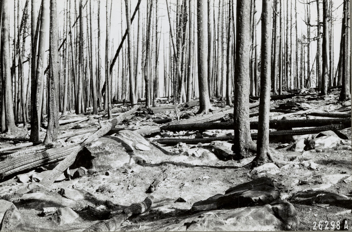 Carbon Timber Co. Sawmill burning sawdust, Wyoming – National Archives Identifier: 7103912